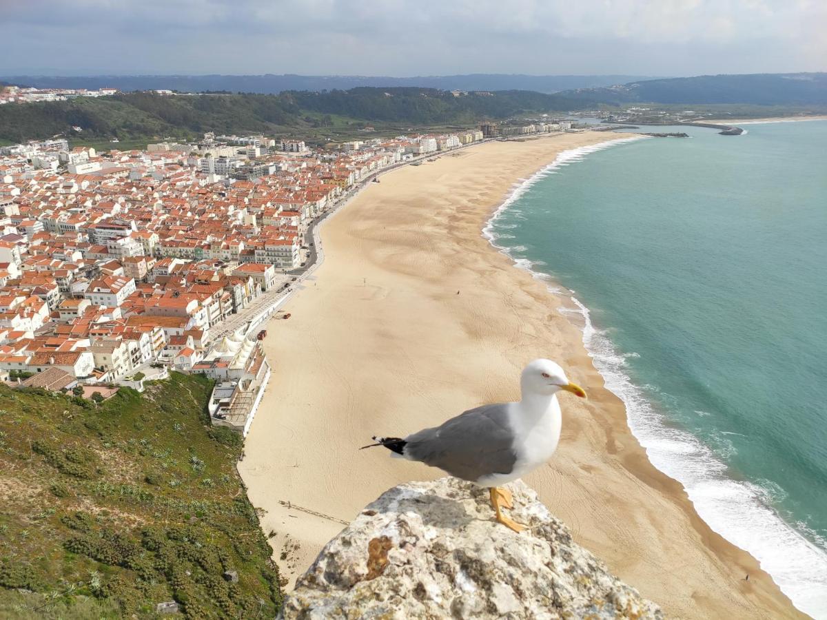 Ferienwohnung Casa Sao Giao Nazaré Exterior foto